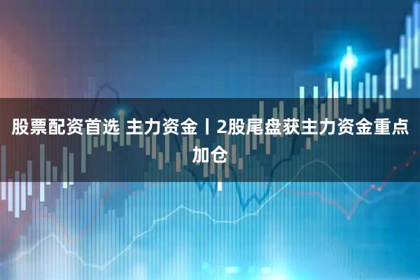 股票配资首选 主力资金丨2股尾盘获主力资金重点加仓