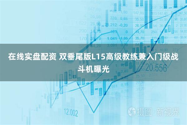 在线实盘配资 双垂尾版L15高级教练兼入门级战斗机曝光