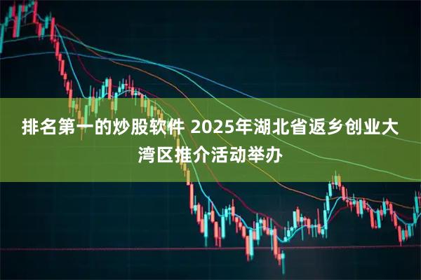 排名第一的炒股软件 2025年湖北省返乡创业大湾区推介活动举办